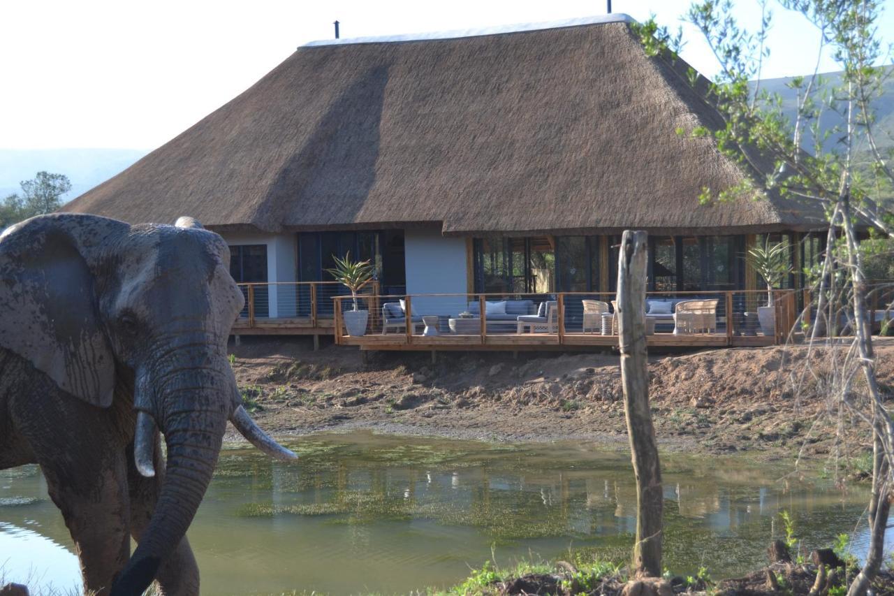 Barefoot Addo Elephant Lodge Zewnętrze zdjęcie